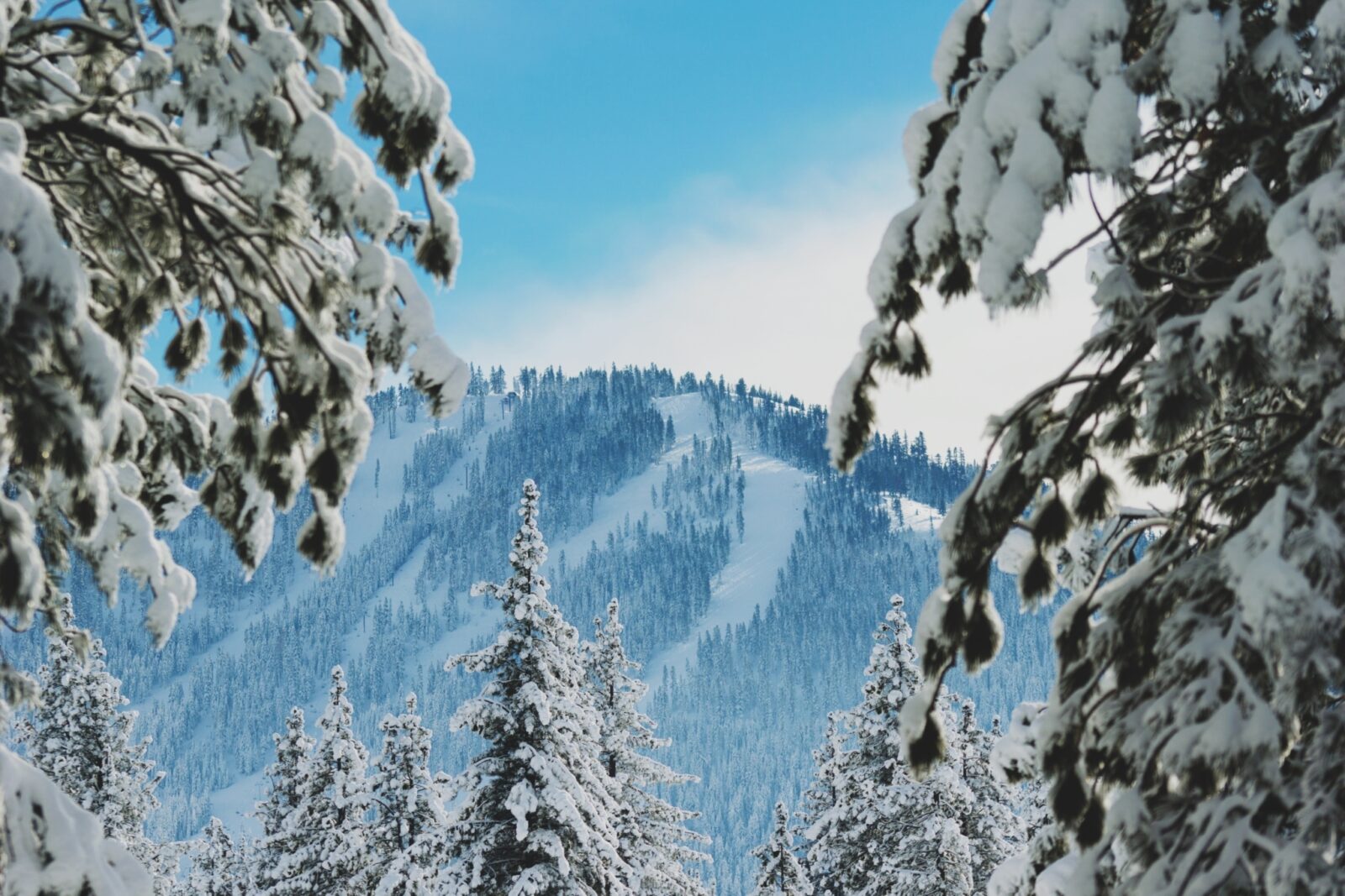 Snowy Mountain Zlg4Exvkgau